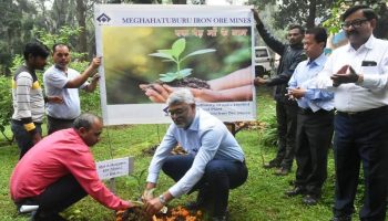 Bokaro: ‘एक पेड़ माँ के नाम’ अभियान में बीएसएल के शीर्ष अधिकारियों ने किया वृक्षारोपण