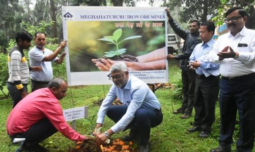 Bokaro: ‘एक पेड़ माँ के नाम’ अभियान में बीएसएल के शीर्ष अधिकारियों ने किया वृक्षारोपण