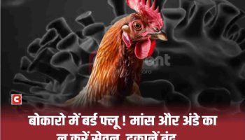 Bird Flu: बोकारो में प्रशासन ने बंद करवाई चिकन की दुकानें, पोल्ट्री फार्म की पहचान शुरू