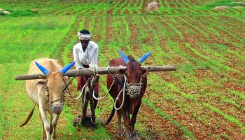 बोकारो में छोटे किसानों को मिलेगा पंप सेट और कृषि यंत्रों का लाभ