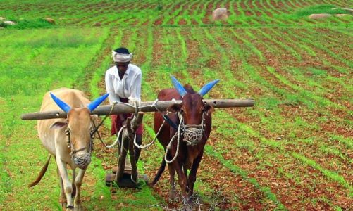 बोकारो में छोटे किसानों को मिलेगा पंप सेट और कृषि यंत्रों का लाभ