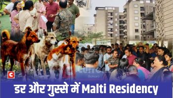 बोकारो के मालती रेजिडेंसी में बेकाबू हुए आवारा कुत्ते, इंसानों की जान पर बन आई