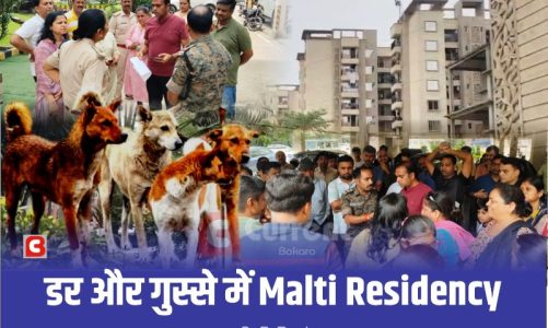 बोकारो के मालती रेजिडेंसी में बेकाबू हुए आवारा कुत्ते, इंसानों की जान पर बन आई