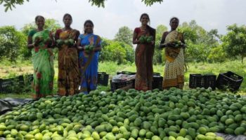 Bokaro: जहां किसान हारे थे, वहां महिलाओं ने जीत ली ज़मीन
