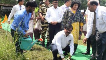 हरियाली है हमारी जिम्मेदारी: डीएवी इस्पात विद्यालय में प्रकृति और शिक्षा का सुंदर संगम