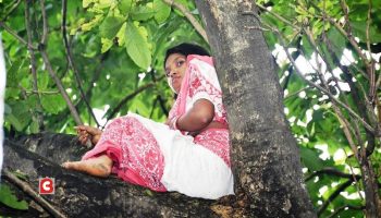 पूजा छोड़ युवती चढ़ी पेड़ पर, बोली करूँगी तपस्या